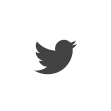 icon-social-4